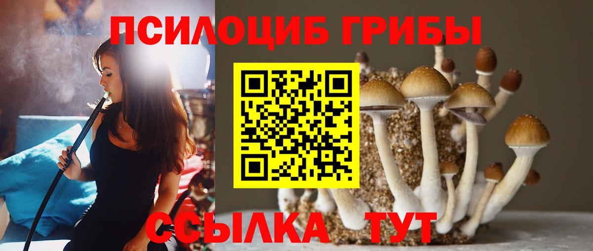 Псилоцибиновые грибы мицелий  Псилоцибиновые грибы MAGIC MUSHROOMS  Советский  Вход с VPN 